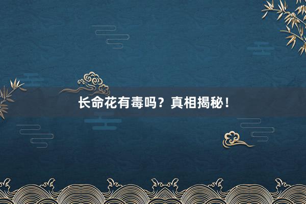 长命花有毒吗？真相揭秘！