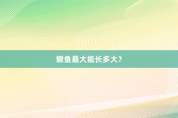 鳜鱼最大能长多大？
