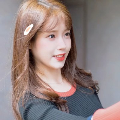 假如动物会摄影